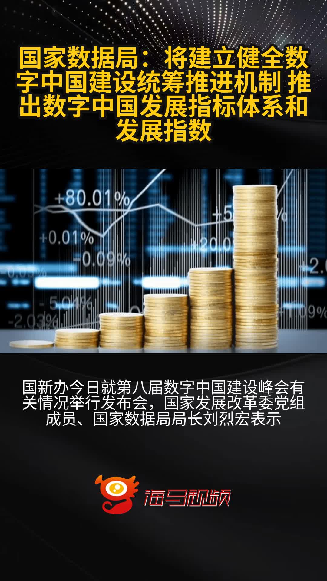 《数字中国发展指标体系》发布