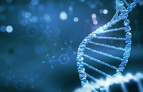 60MB生物医学图像存入DNA！我国DNA信息存储技术取得新突破