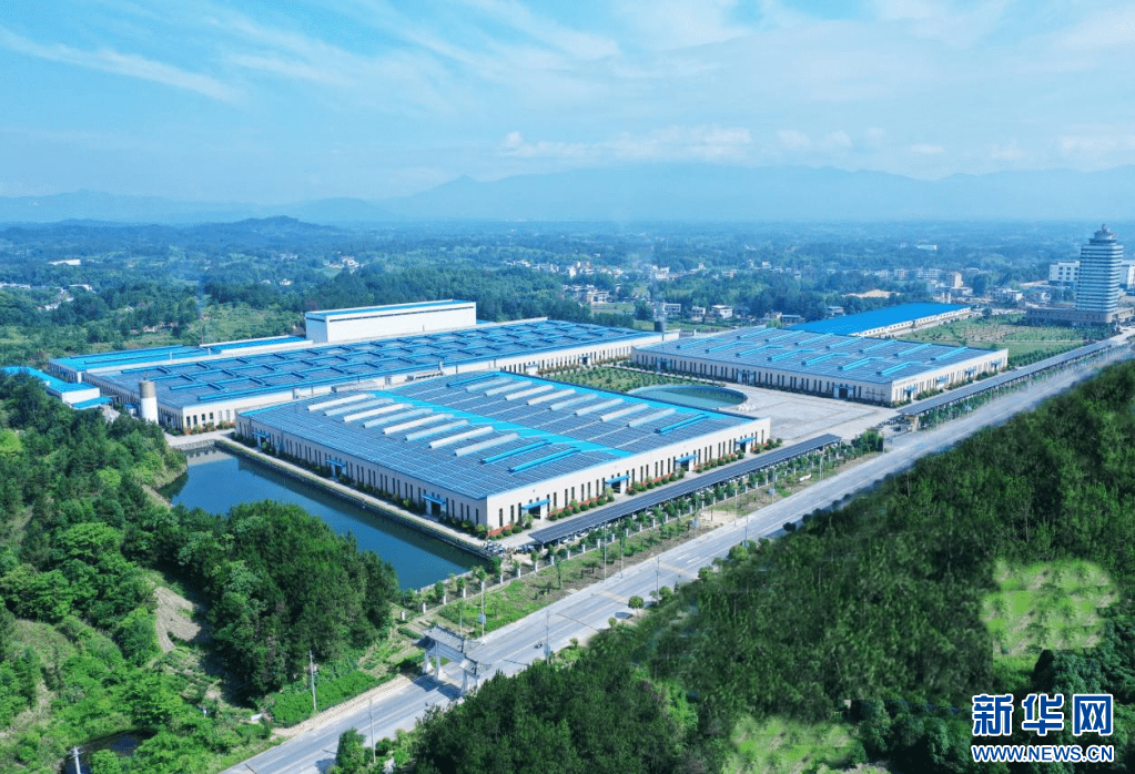 科技软服务锻造产业硬实力