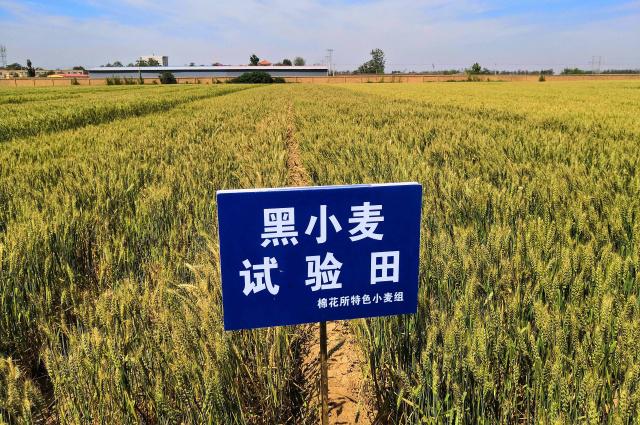 新华全媒+丨黄土高原崛起“算力高地”