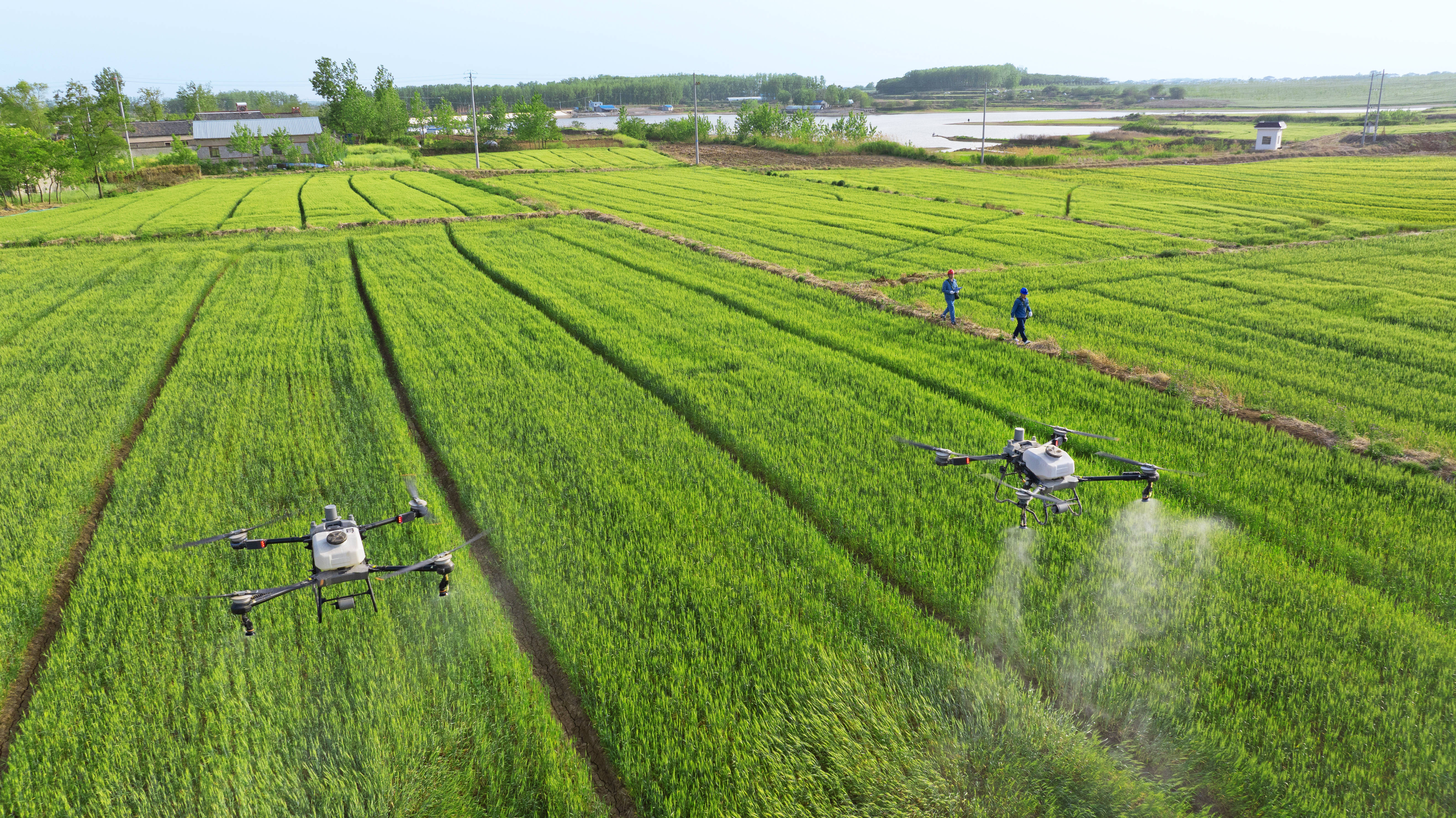 科技赋能解锁插秧“新姿势”
