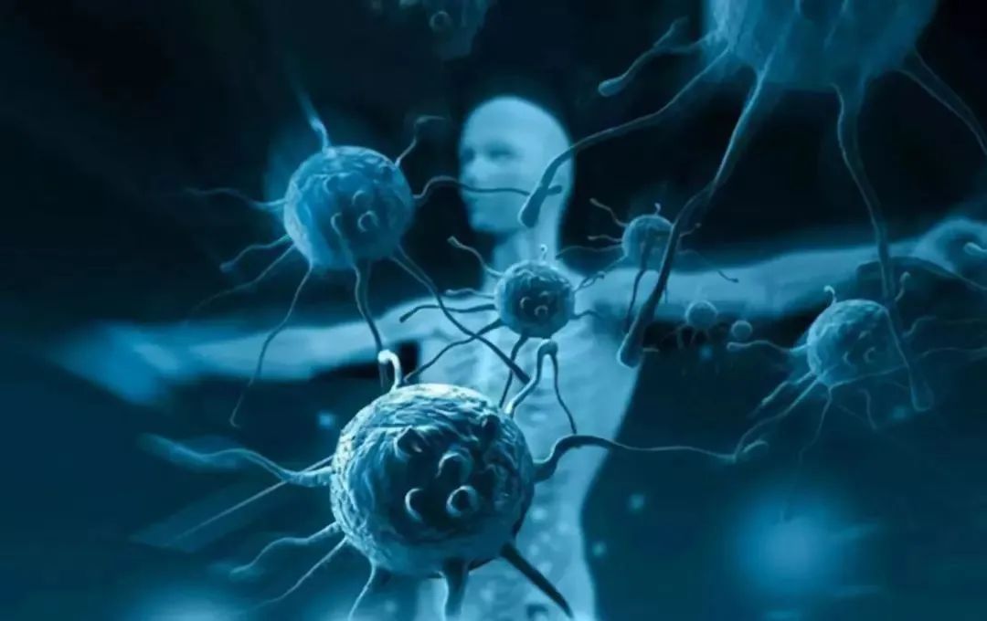 我国科学家研发天文耀发预测大模型FLARE