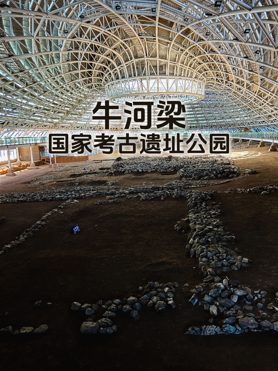 文化新观察丨这些考古新发现,彰显文明探源中的科技力量