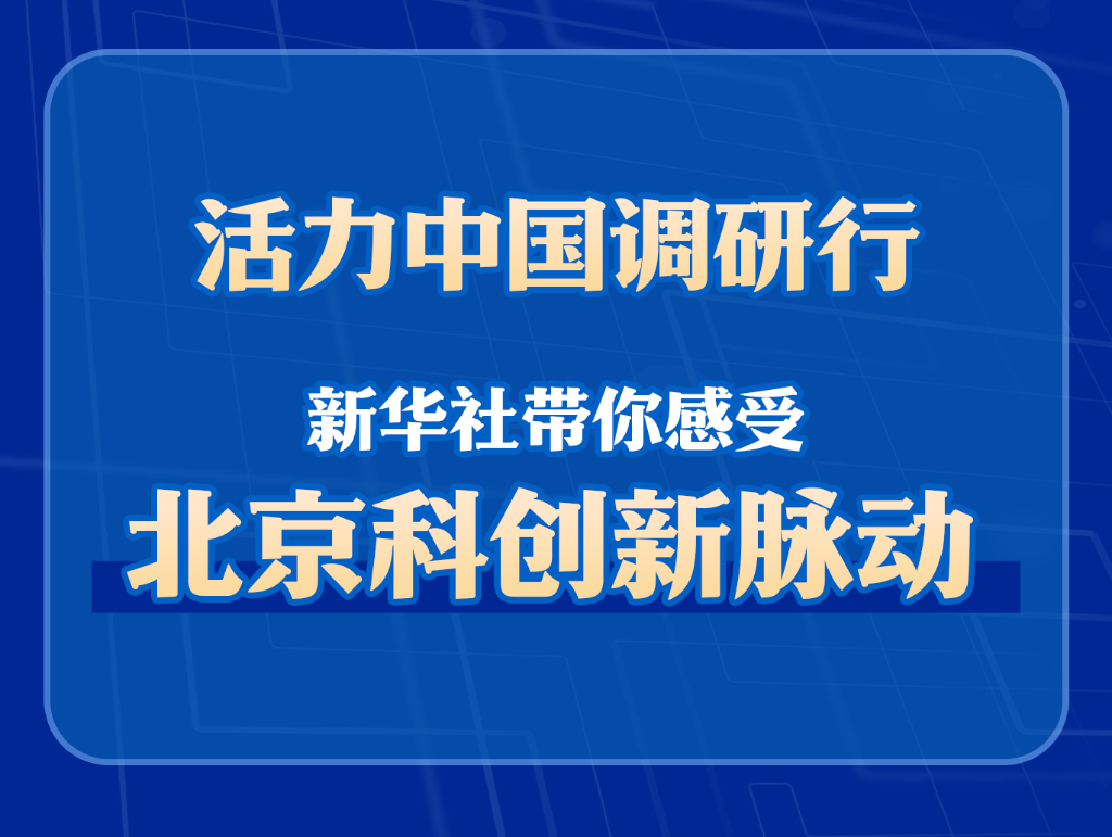 智造升级 融合共进——感受中国新能源汽车产业跃升脉动