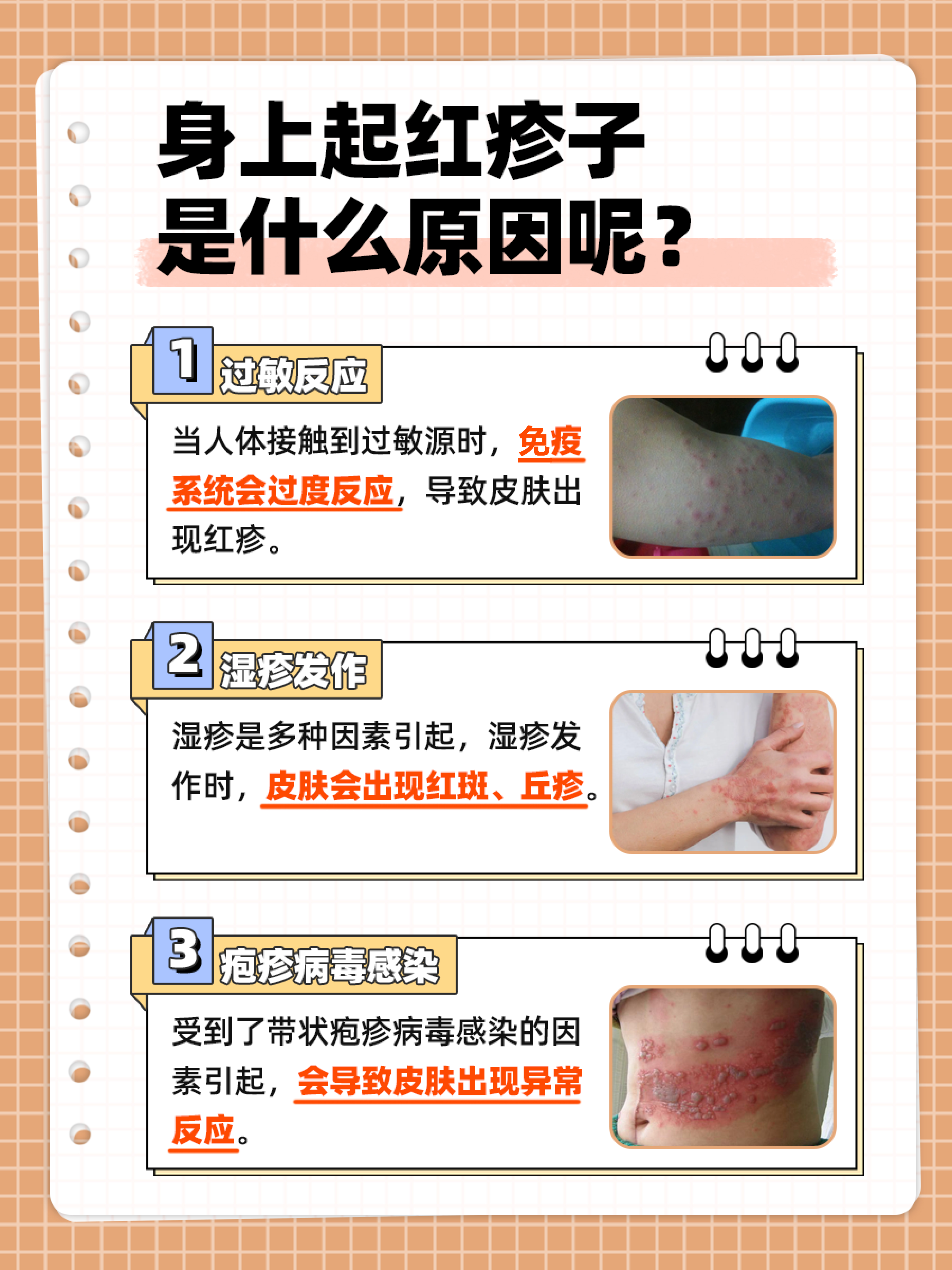 宠物毛过敏？元凶其实是它！医生揭秘宠物过敏真相