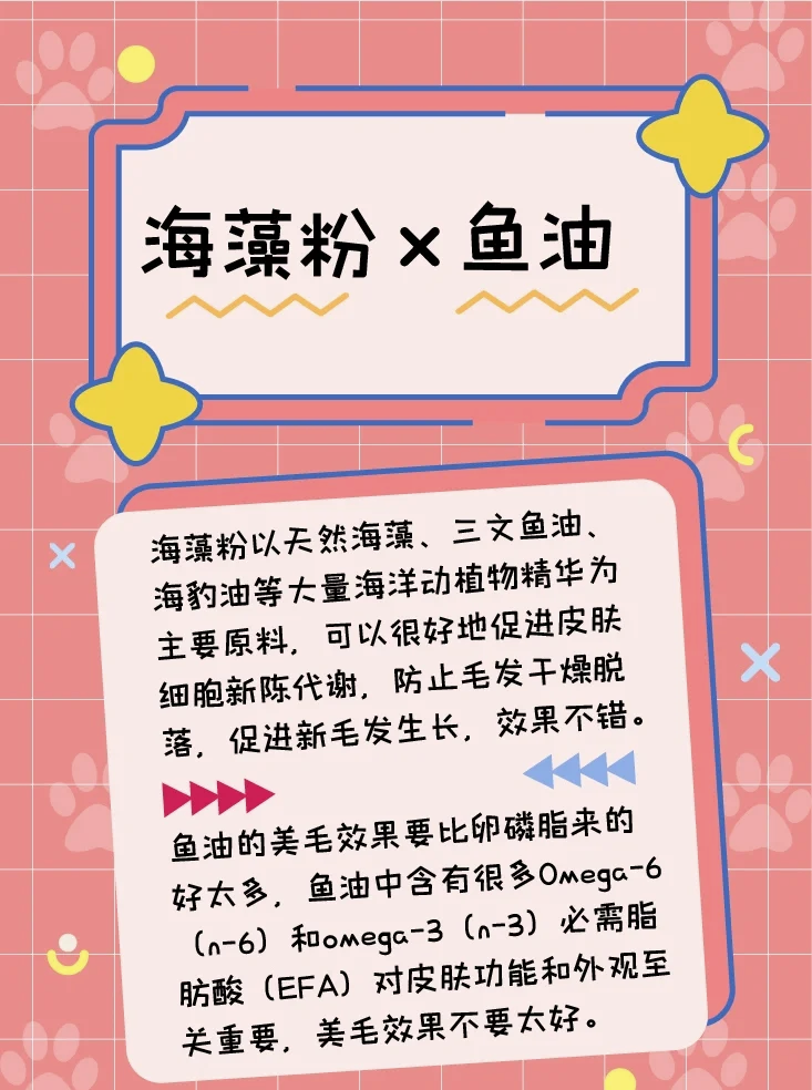 宠物毛过敏？元凶其实是它！医生揭秘宠物过敏真相