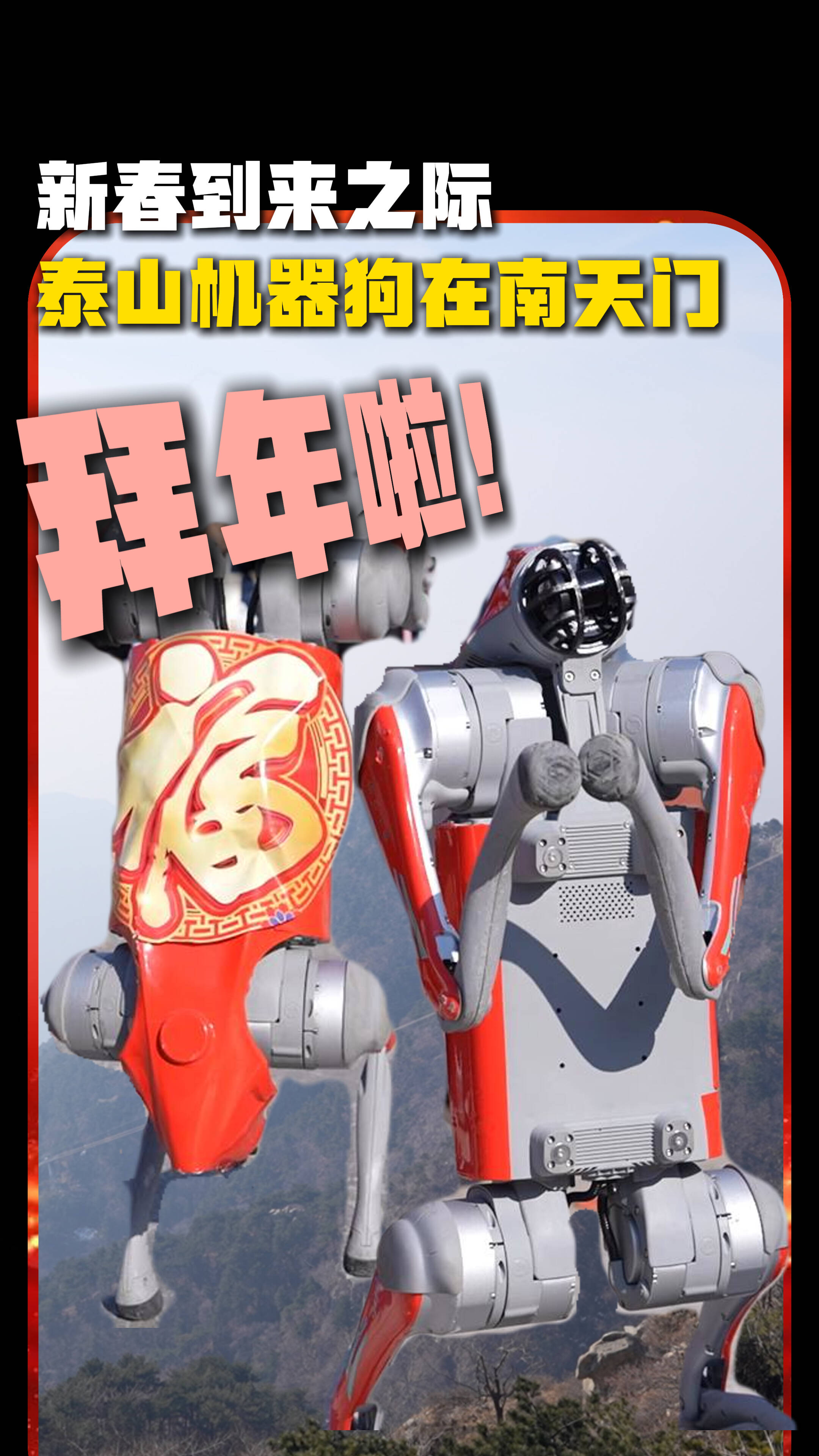 链博会丨你见过机器狗舞狮吗？