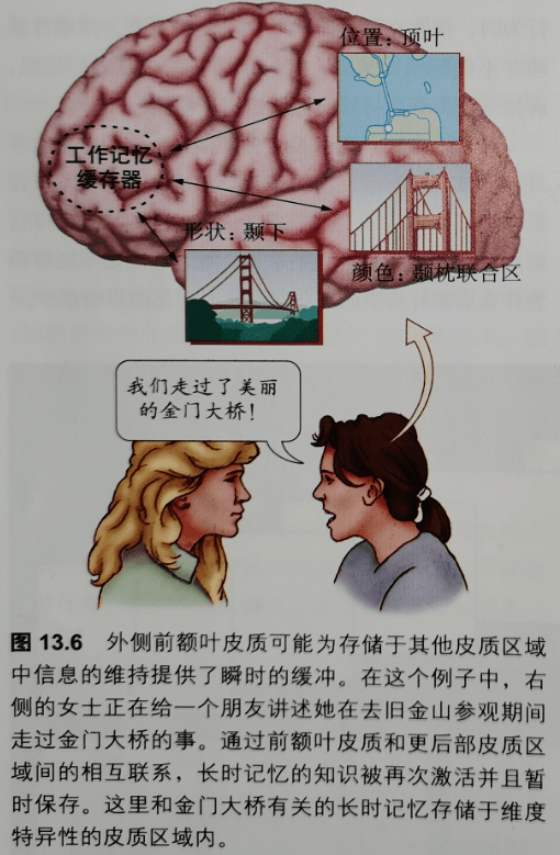 科学与健康｜减重“长征”贵在坚持 科学认知告别焦虑