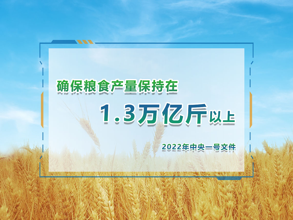 “科技赋能+产销融合”:中国产粮第一大省绘就农业现代化新图景