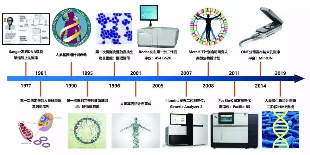 科学与健康丨基因组编辑新利器：PCE技术实现染色体“精准编辑”