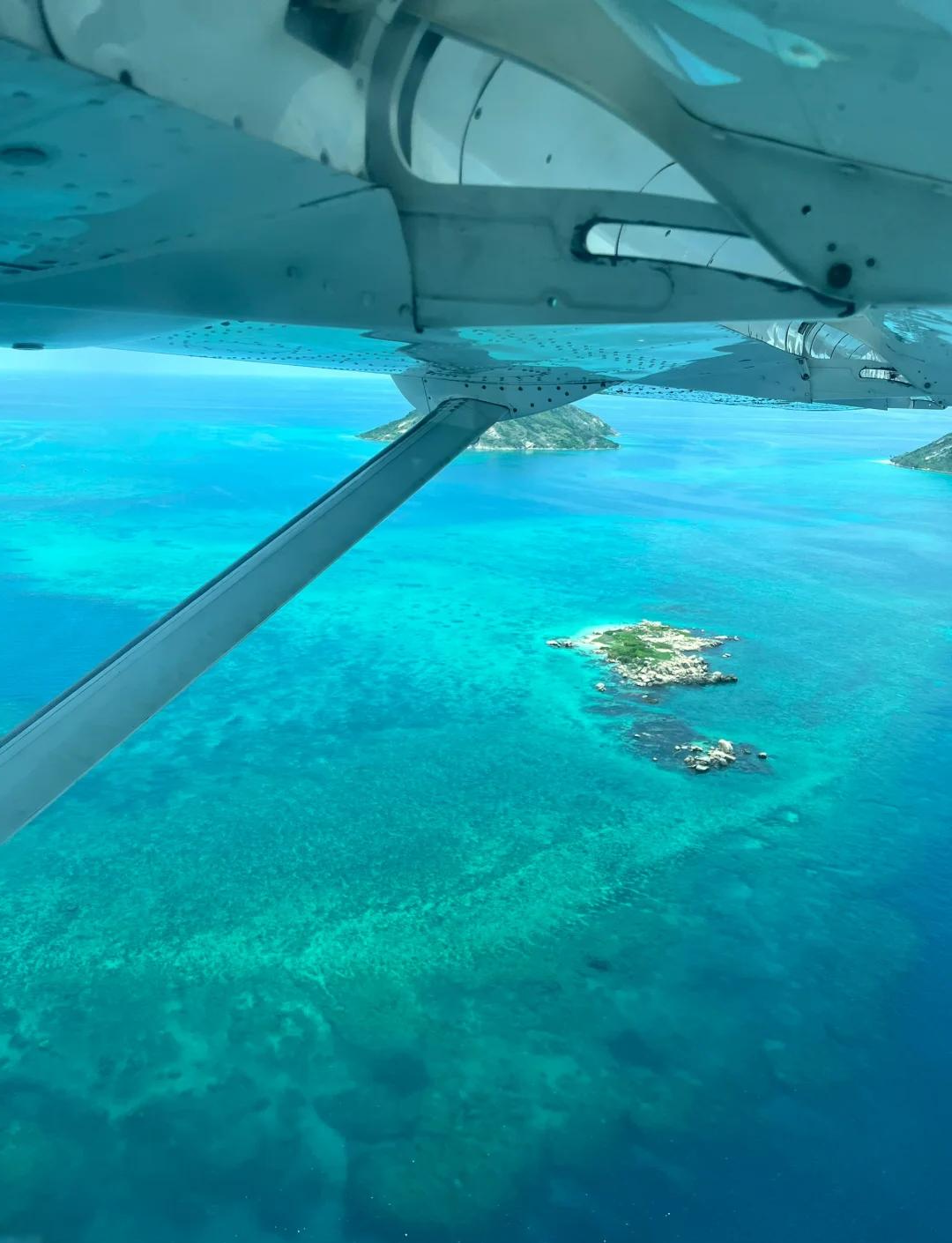 大堡礁珊瑚减少幅度之大创监测39年来纪录