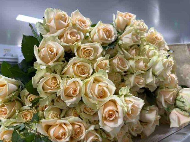 直播电商扩大消费市场,贡献云南鲜花消费市场增量近七成