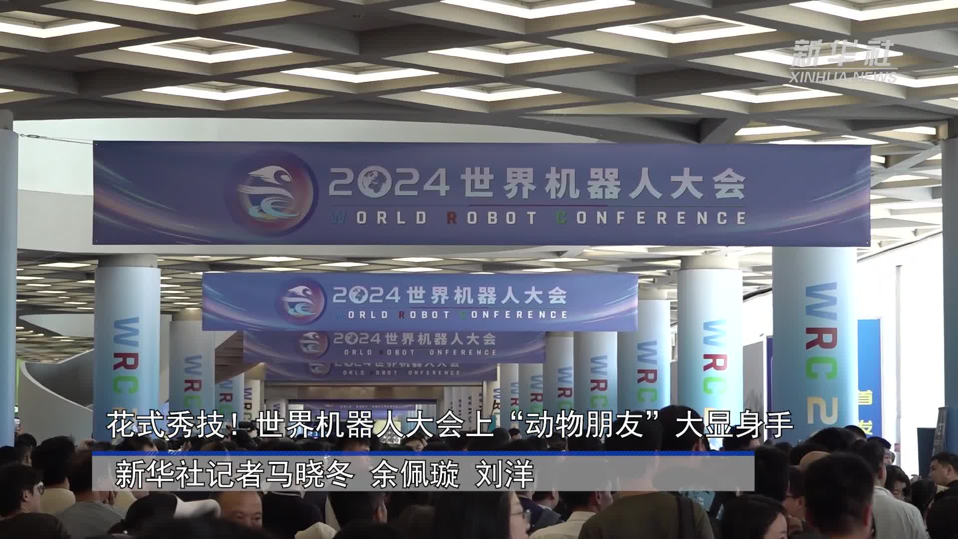 秀我中国丨在世界机器人大会上,我解锁了47号智能助手2.0