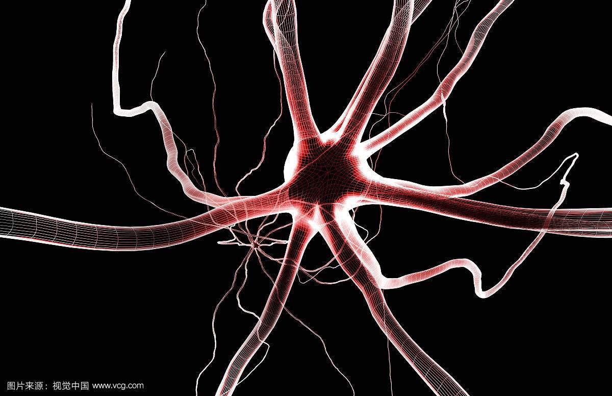 中国科学家找到治疗子宫腺肌症新靶点新方法