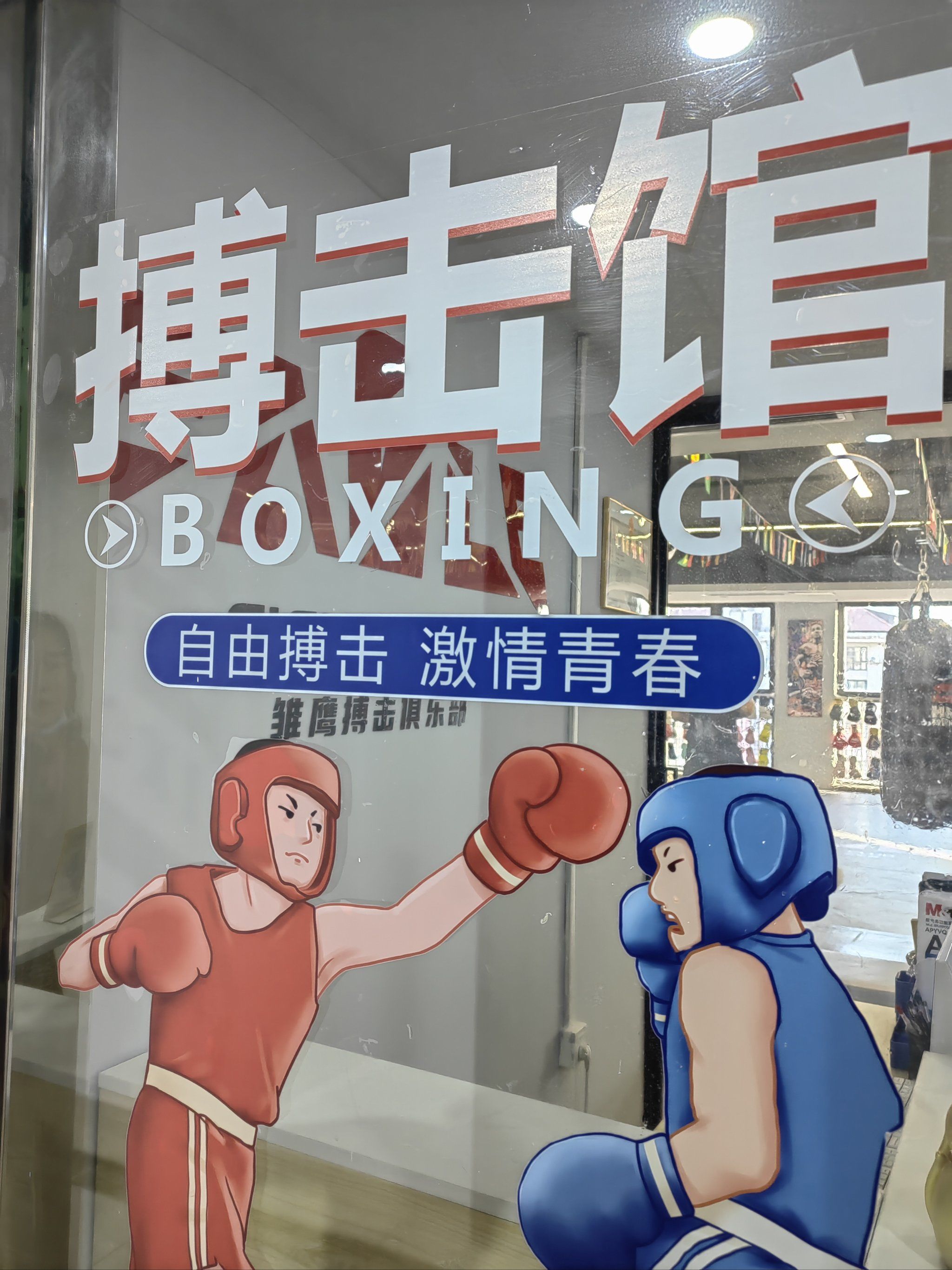 秀我中国｜机器人自由搏击决赛“拳拳到铁”