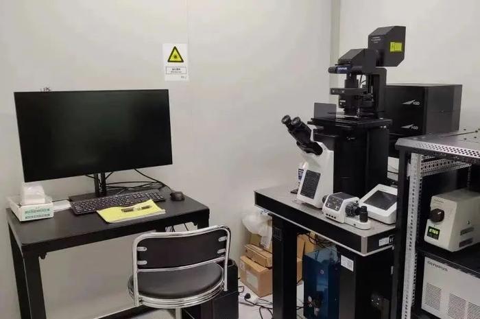 开启脑科学“彩色视界”：我国成功研制多色微型化双光子显微镜