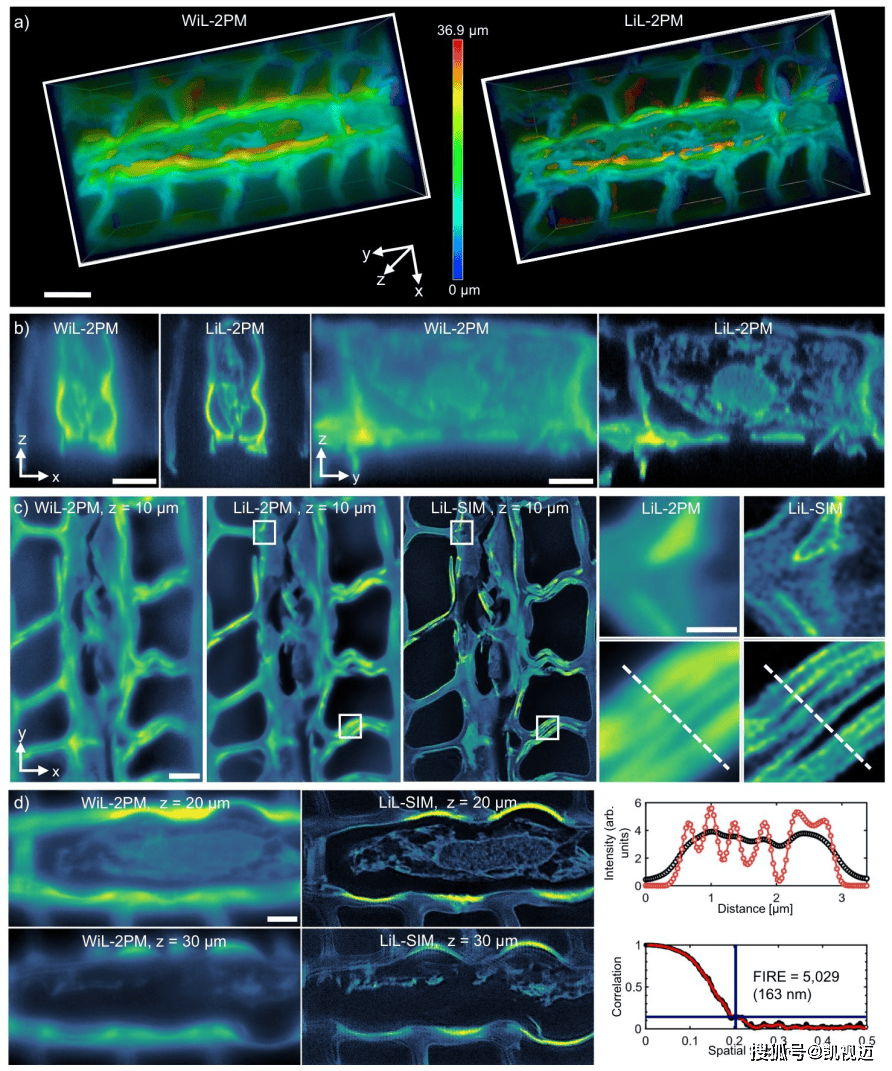 新华社消息｜开启脑科学“彩色视界”：我国成功研制多色微型化双光子显微镜