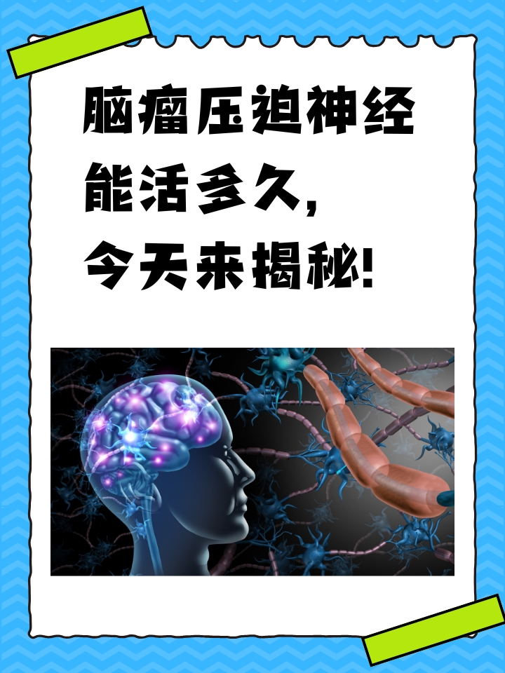 科学与健康｜脑机接口新技术助力精准识别肿瘤边界