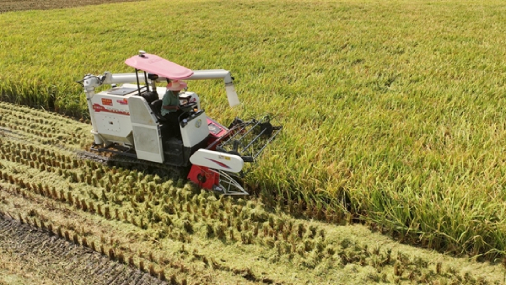 差异化智造赋能农业现代化 科技兴农领航智慧农机升级