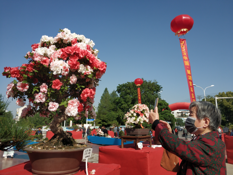 科技赋能城市管理，别搞“AI盆景”