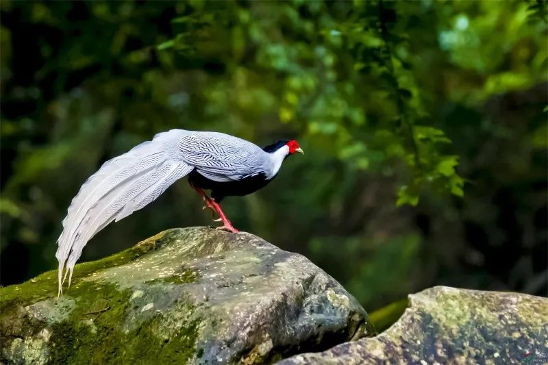 联合国教科文组织第五届世界生物圈保护区大会将于9月22日至25日在杭州举办